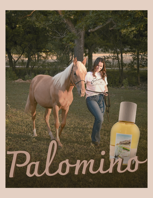 Palomino