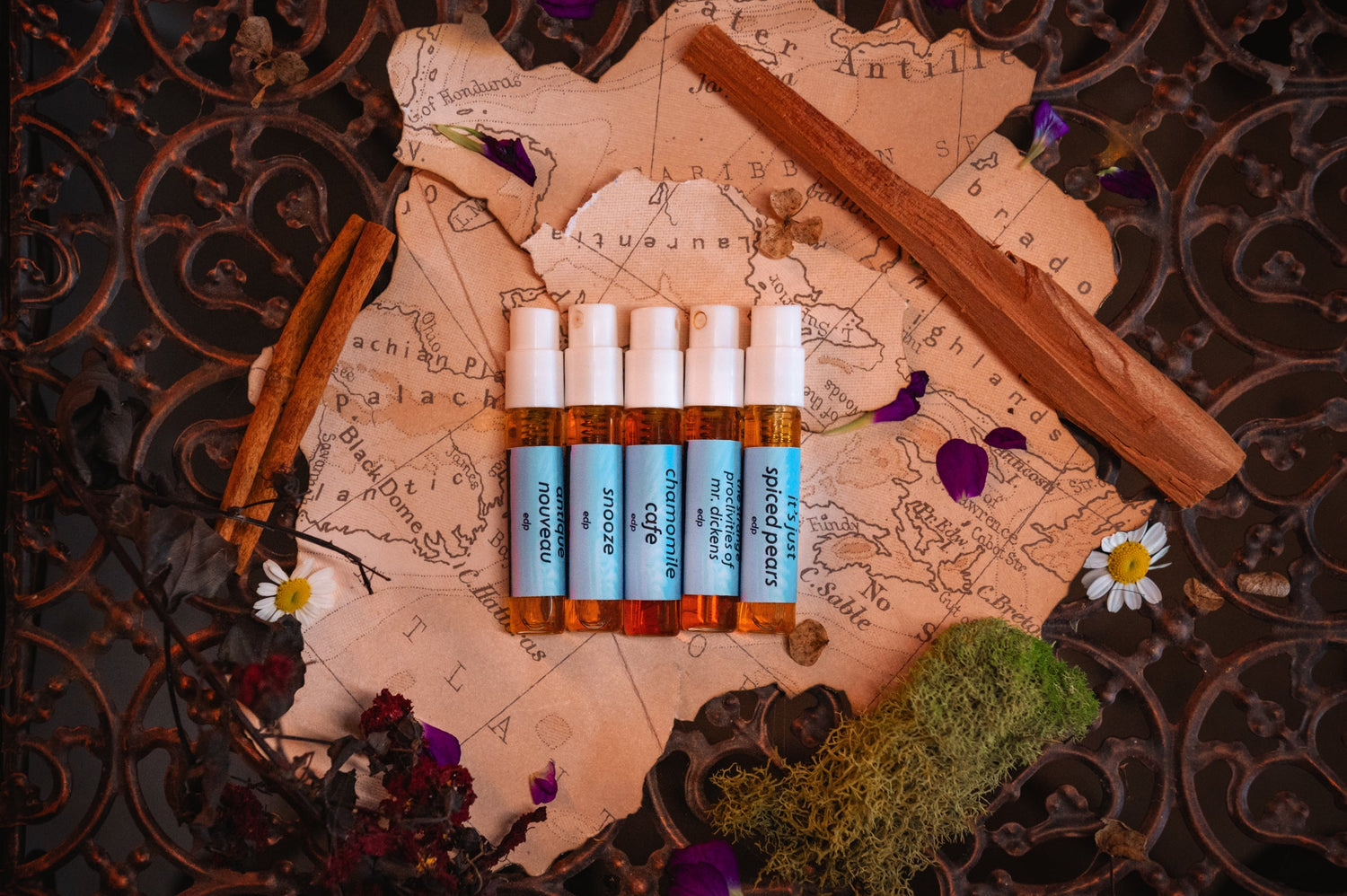 Fall Favorites
