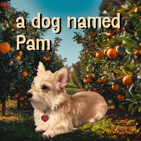 A Dog Named Pam EDP