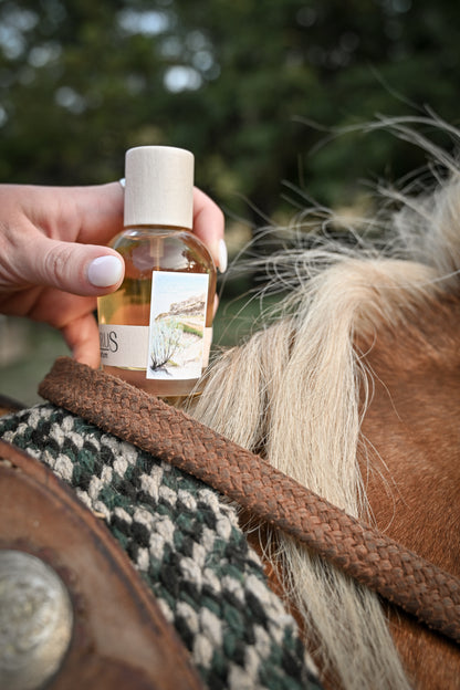 Palomino