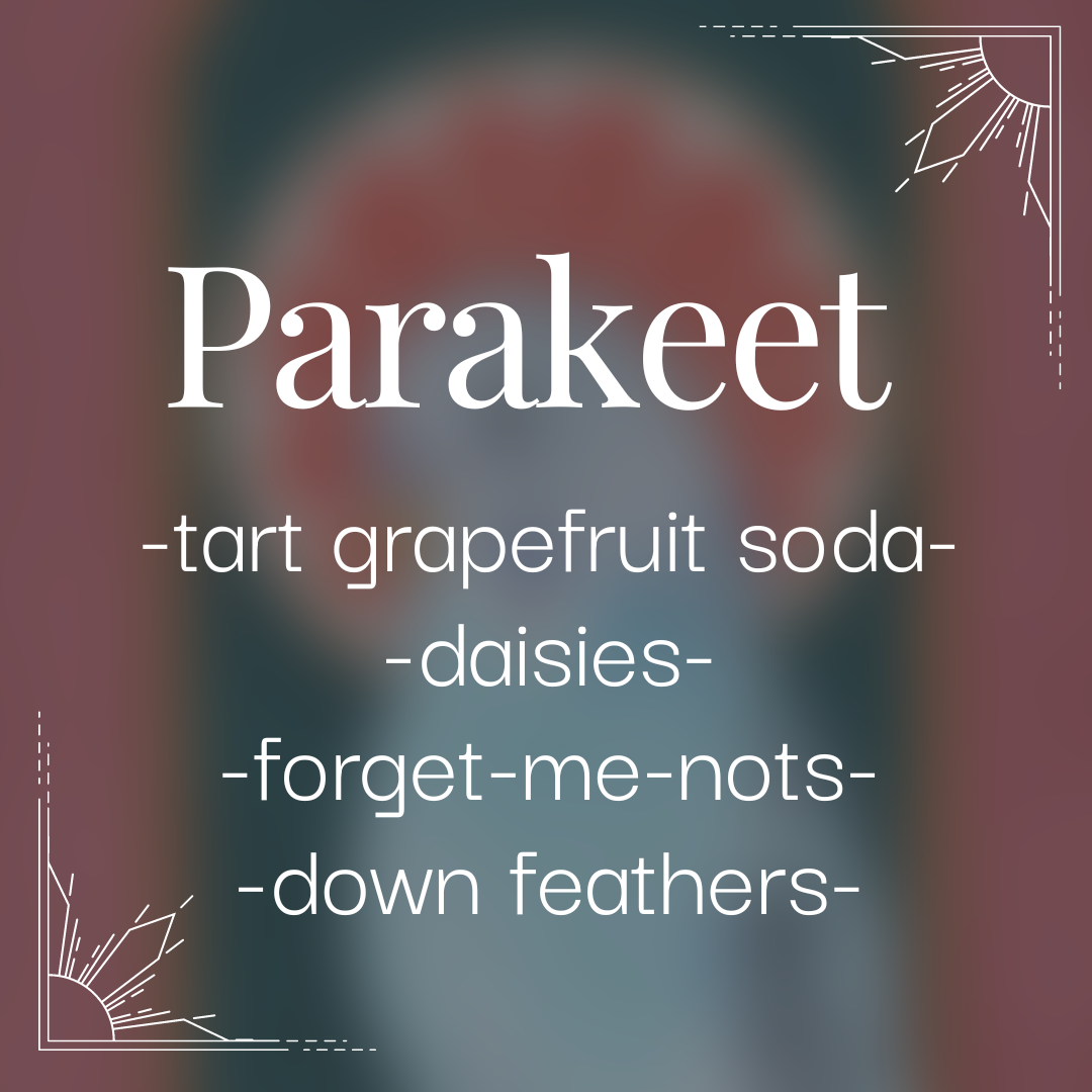 Parakeet