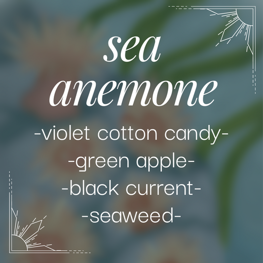 Sea Anemone